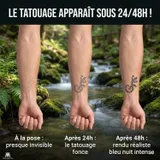 faux tatouage semi permanents developpement salamandre maori