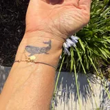 tatouage baleine maori semi permanent