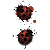 Tatouage éphémère coccinelle