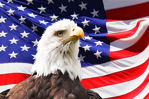 tatouage éphémère aux États-Unis