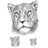 tatouage éphémère lionne