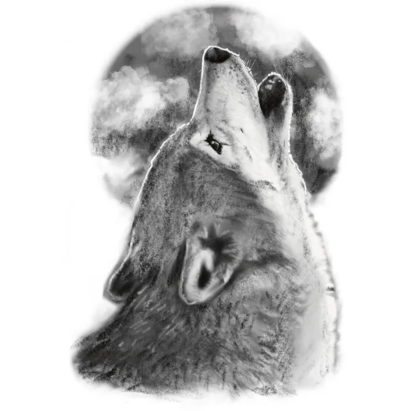 tatouage éphémère loup hurlant