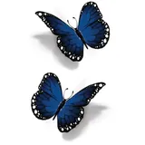 Tatouage éphémère papillon bleu 3D