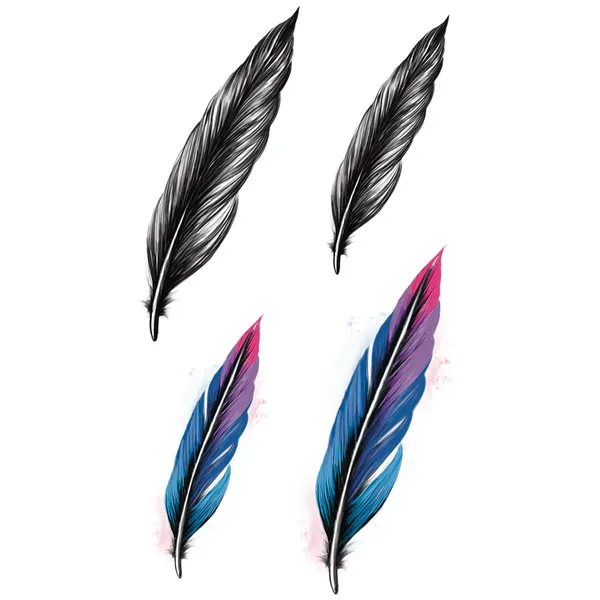 Tatouage éphémère plumes noires et colorées - Pack