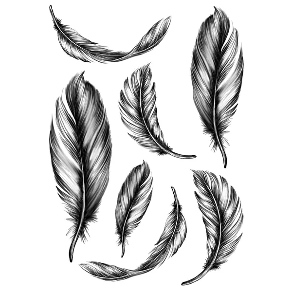Tatouage éphémère plumes noires