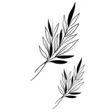 Tatouage éphémère rameaux d'olivier