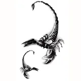 Tatouage éphémère scorpion