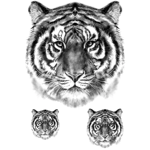 Tatouage éphémère tigre réaliste
