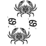 Tatouage signe zodiaque Cancer