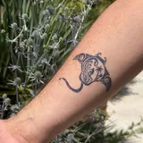 Tatouage maori raie - homme, femme