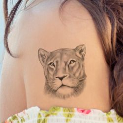 tatouage éphémère lionne réaliste