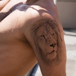 Tatouage éphémère Lion