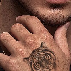 tatouage temporaire tigre réaliste