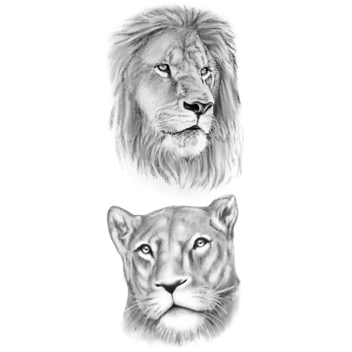 tatouage éphémère lion