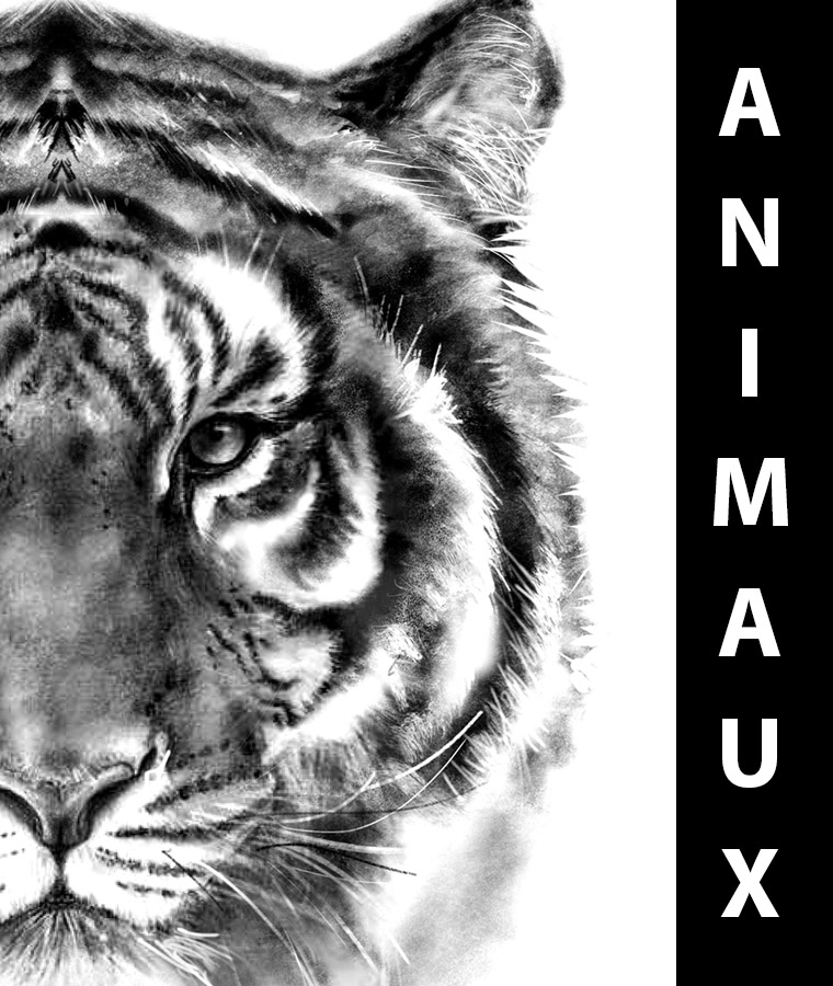 Tatouages éphémères animaux