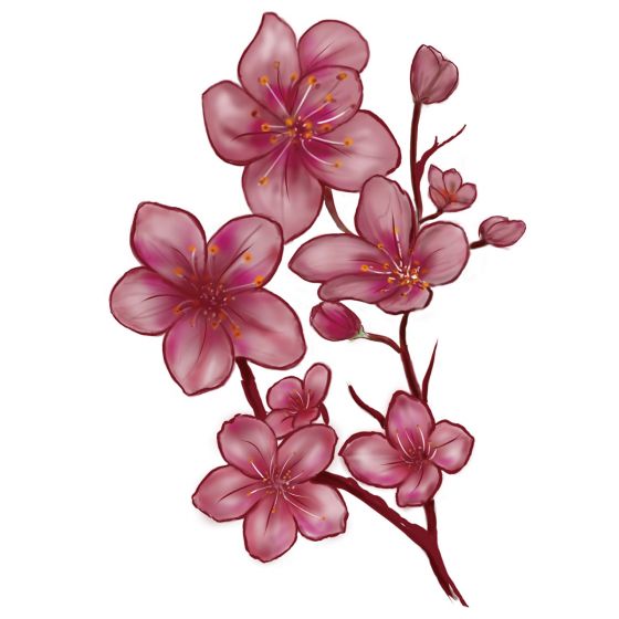 tatouage éphémère fleurs de cerisier rose