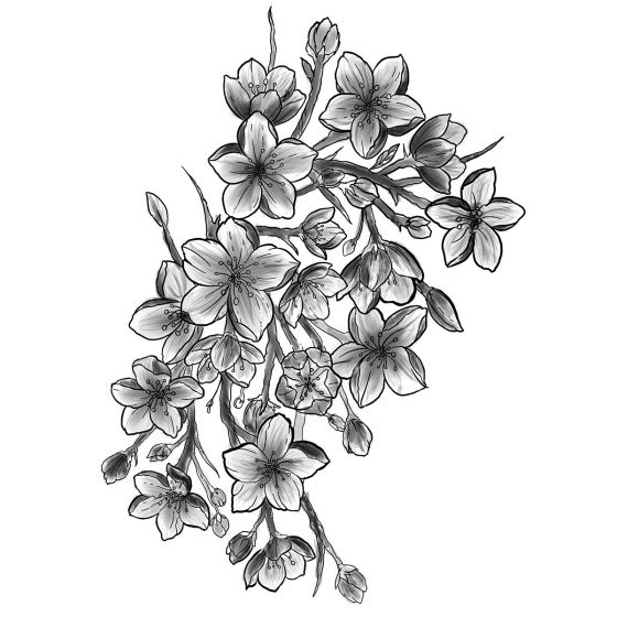 tatouage temporaire fleurs pommier