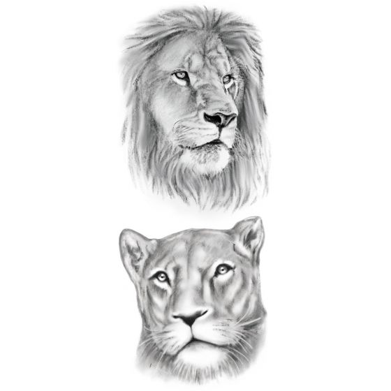 Tatouage éphémère Lion et Lionne