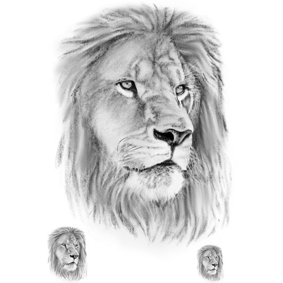 Tatouage éphémère Lion