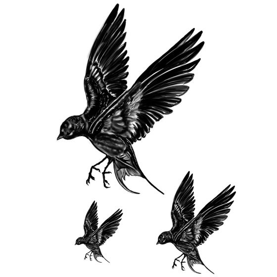 Tatouage éphémère oiseaux noirs